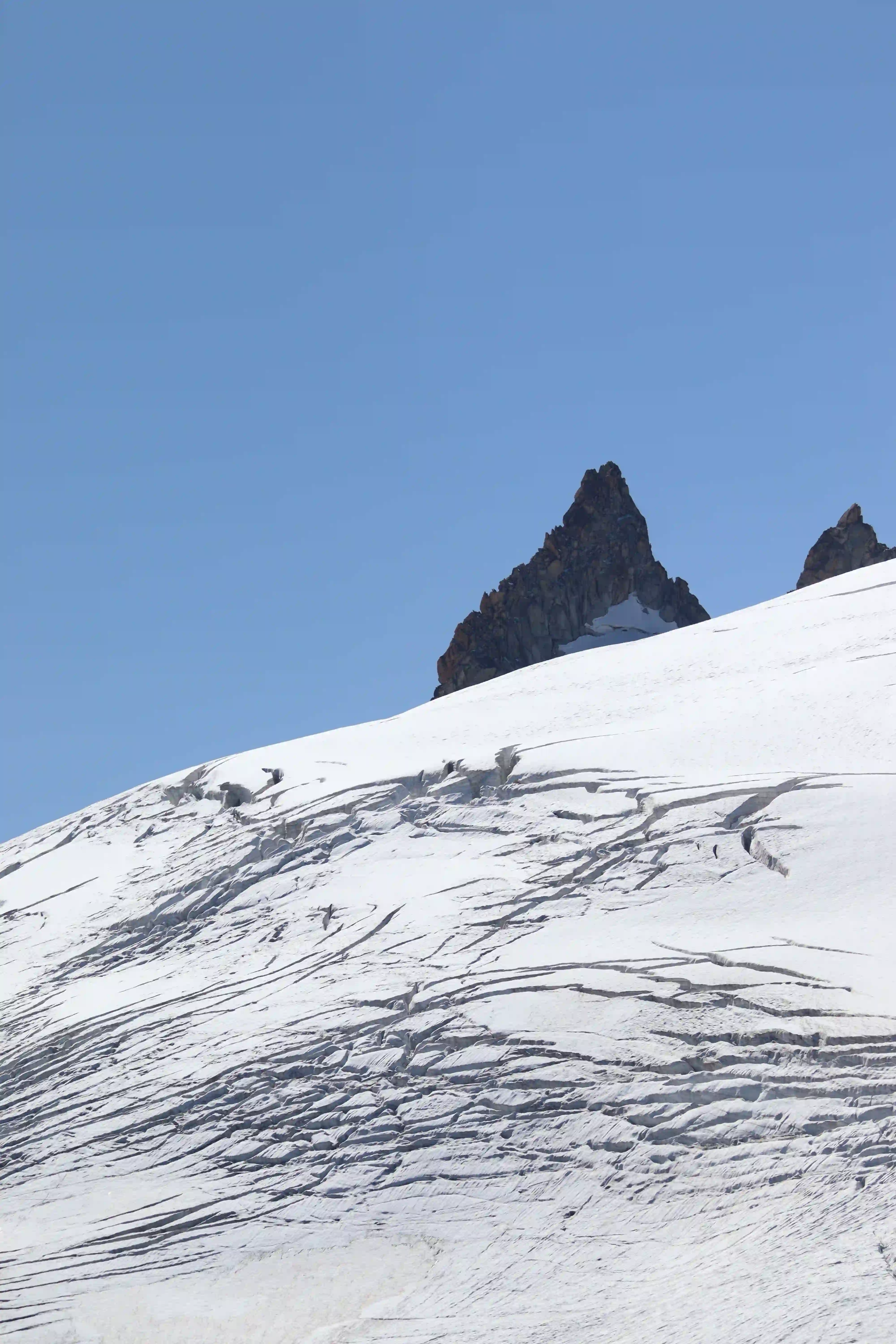 Trient — 14