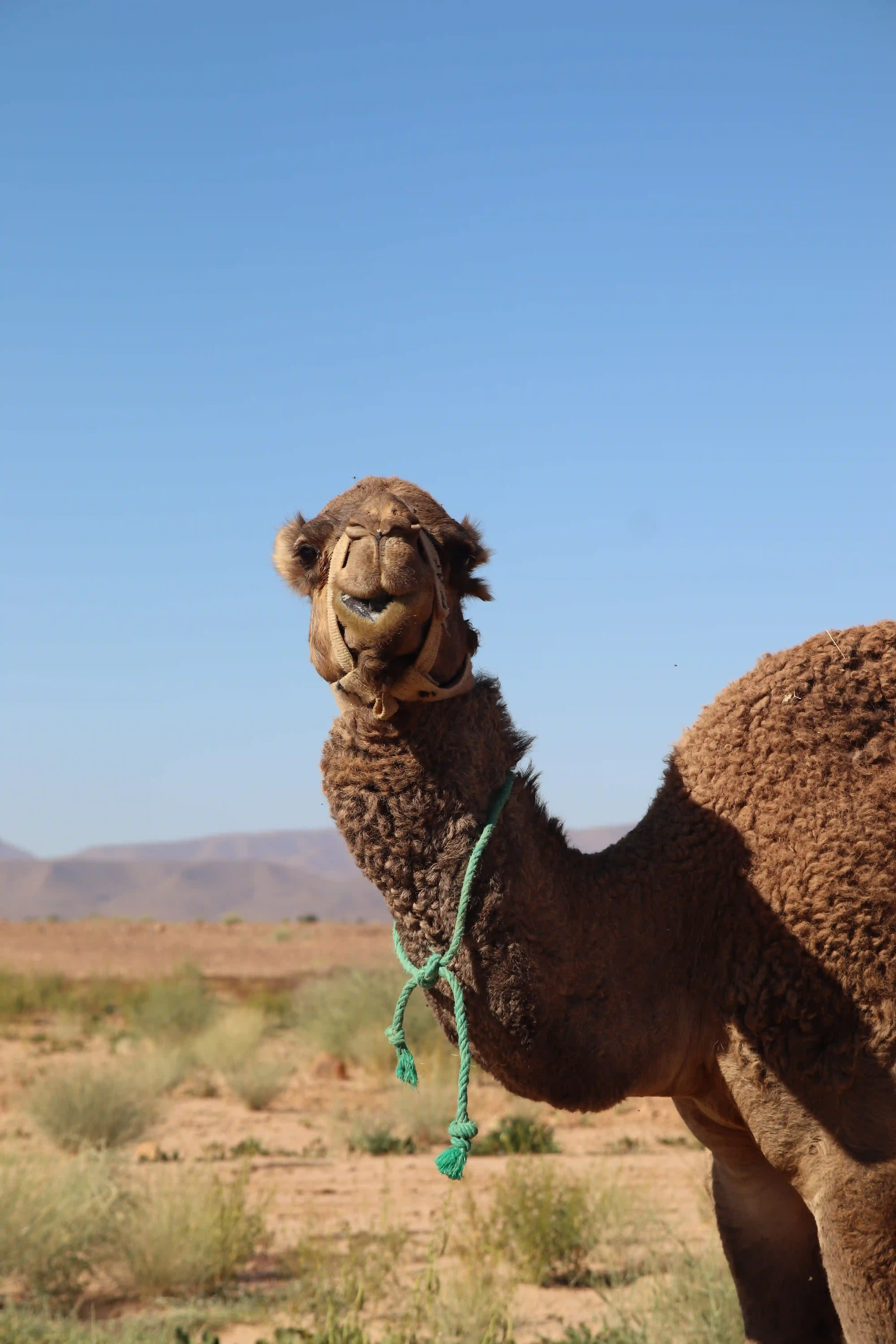 Maroc — 7