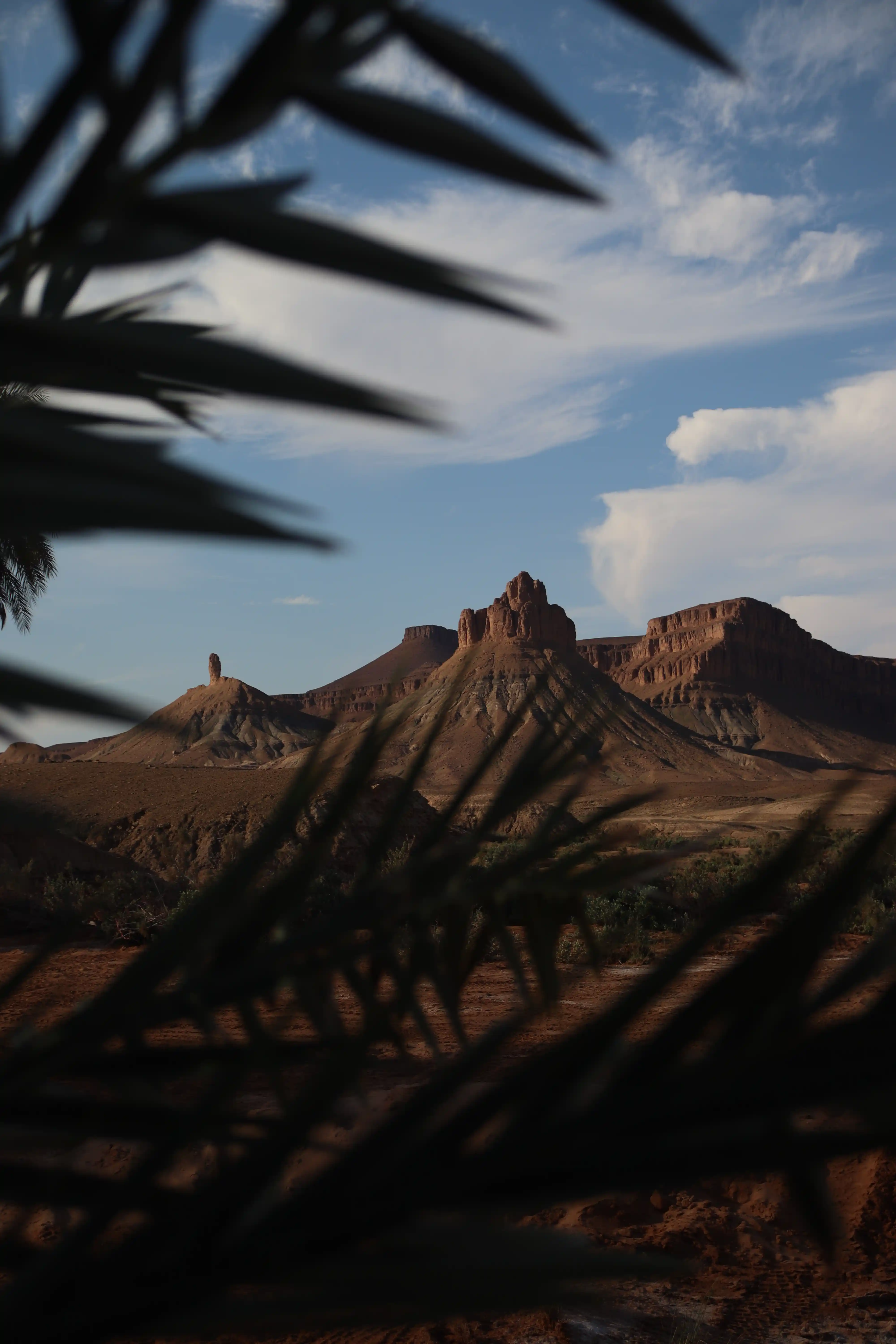Maroc — 14
