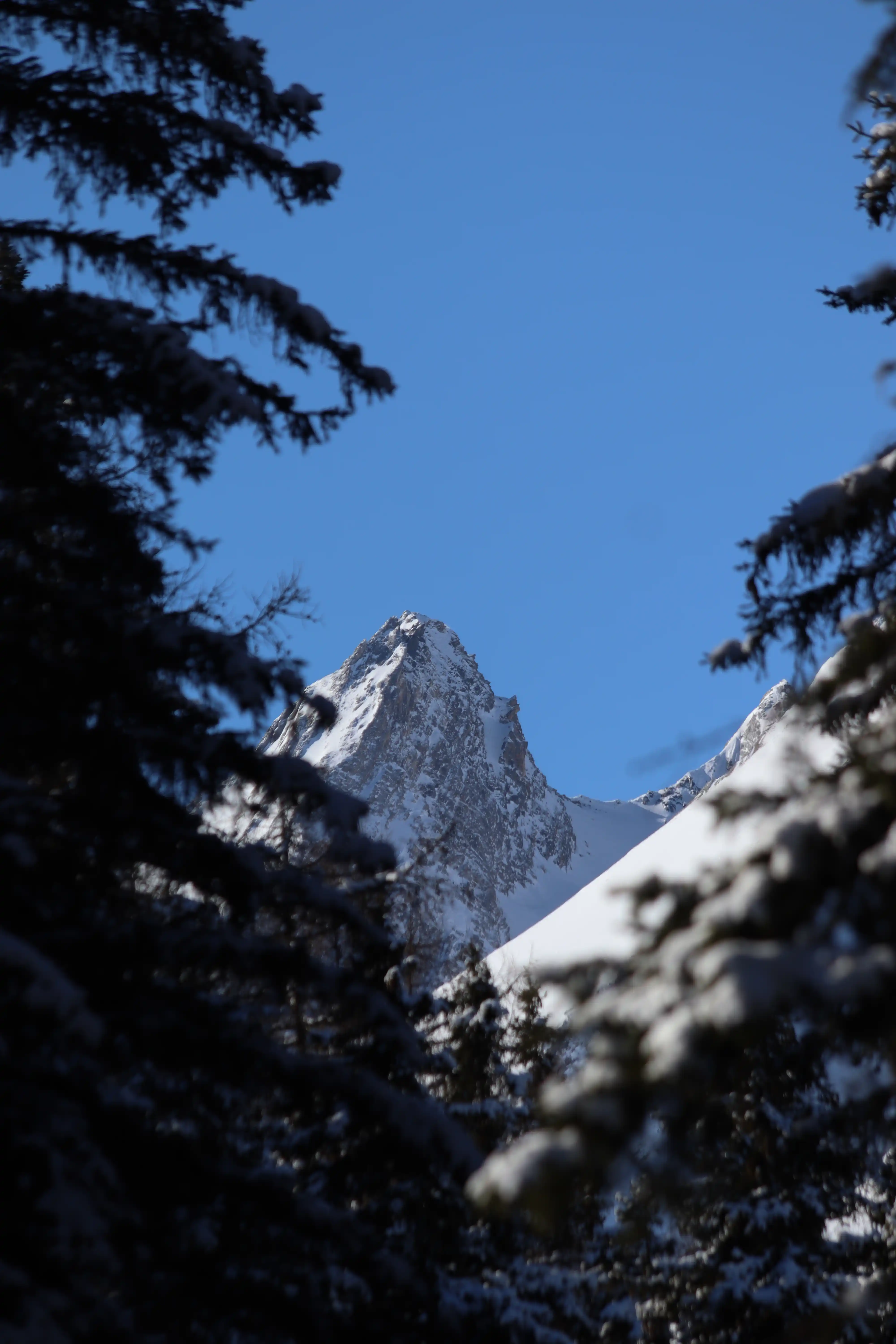 Ski