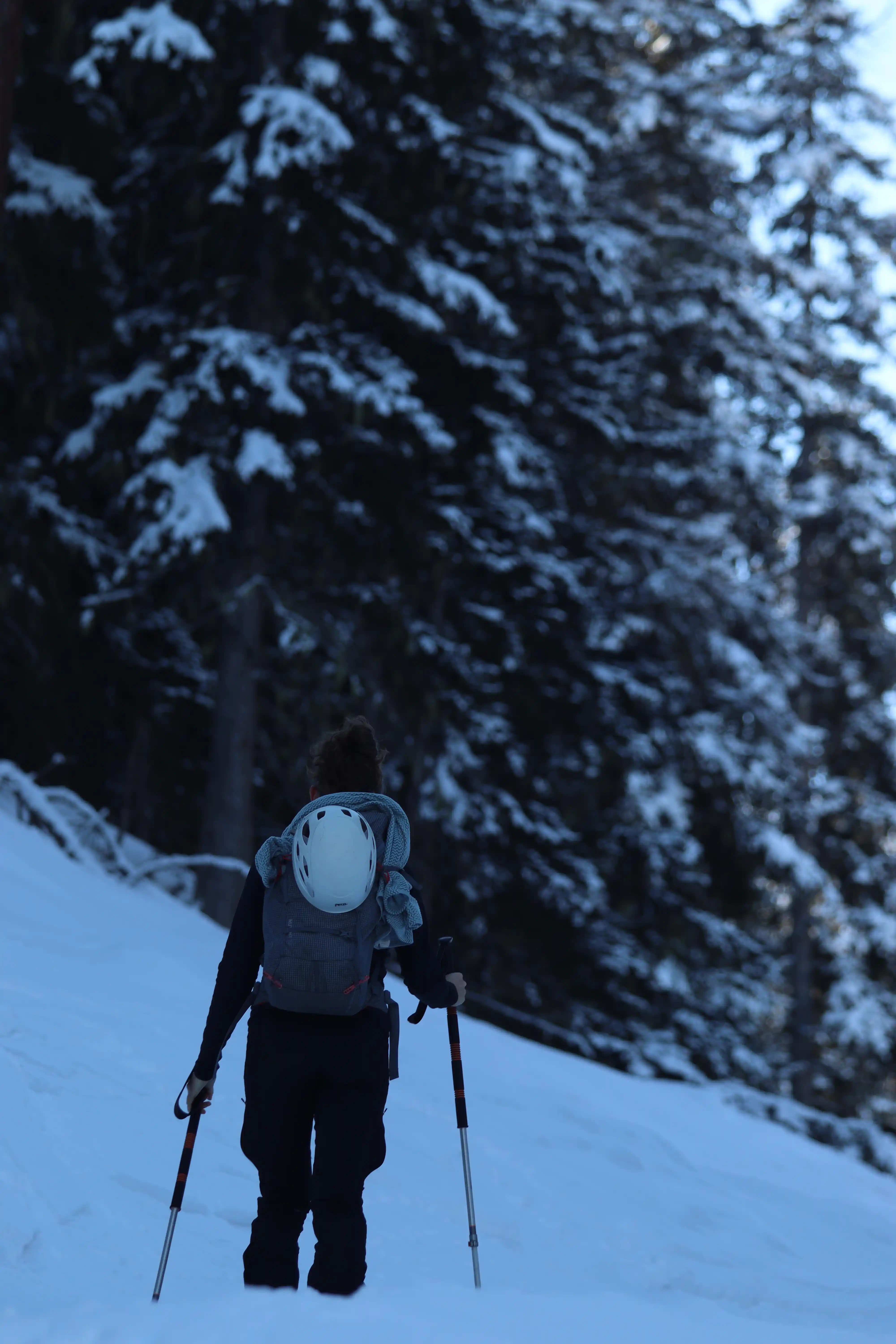 Ski — 2