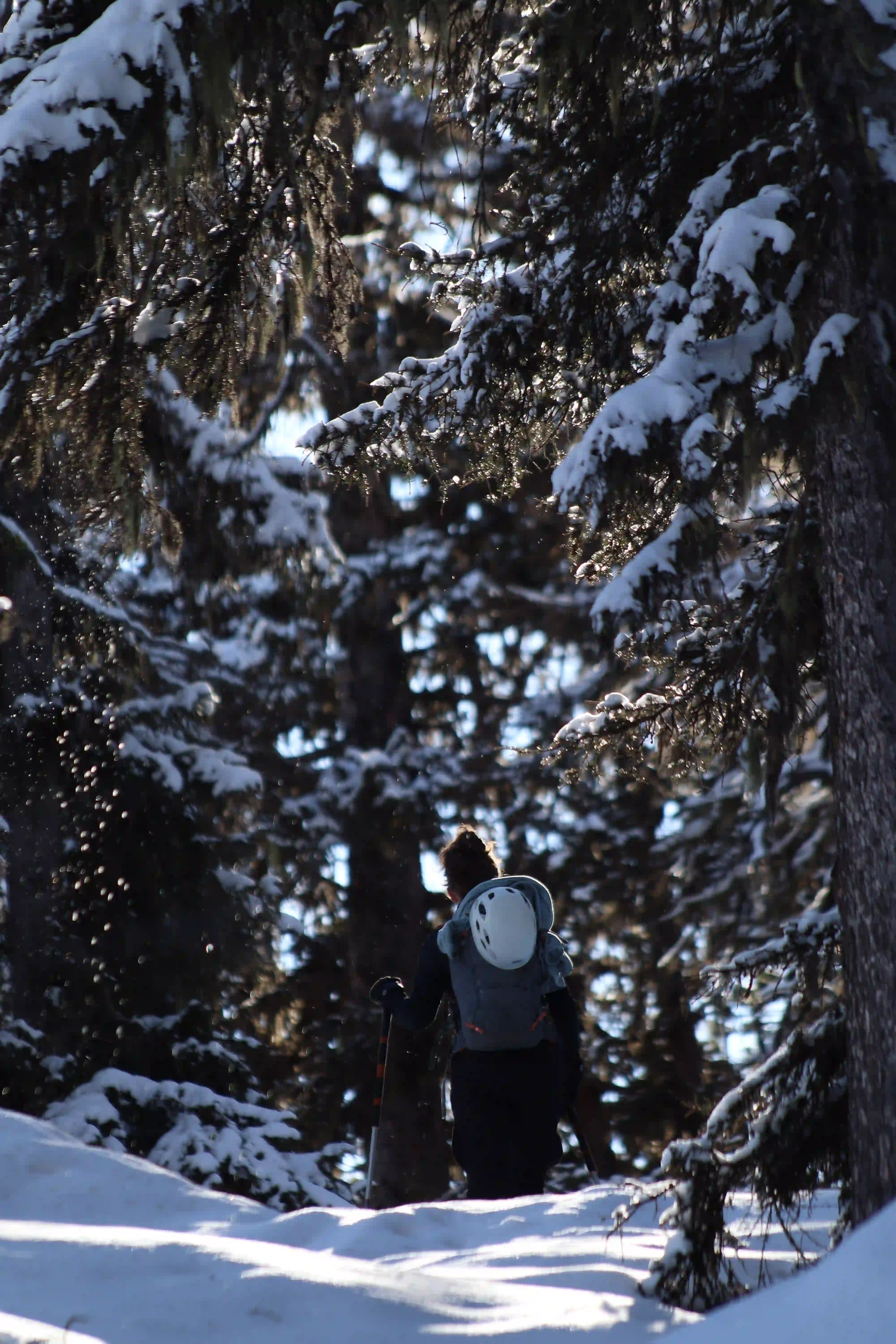 Ski — 3