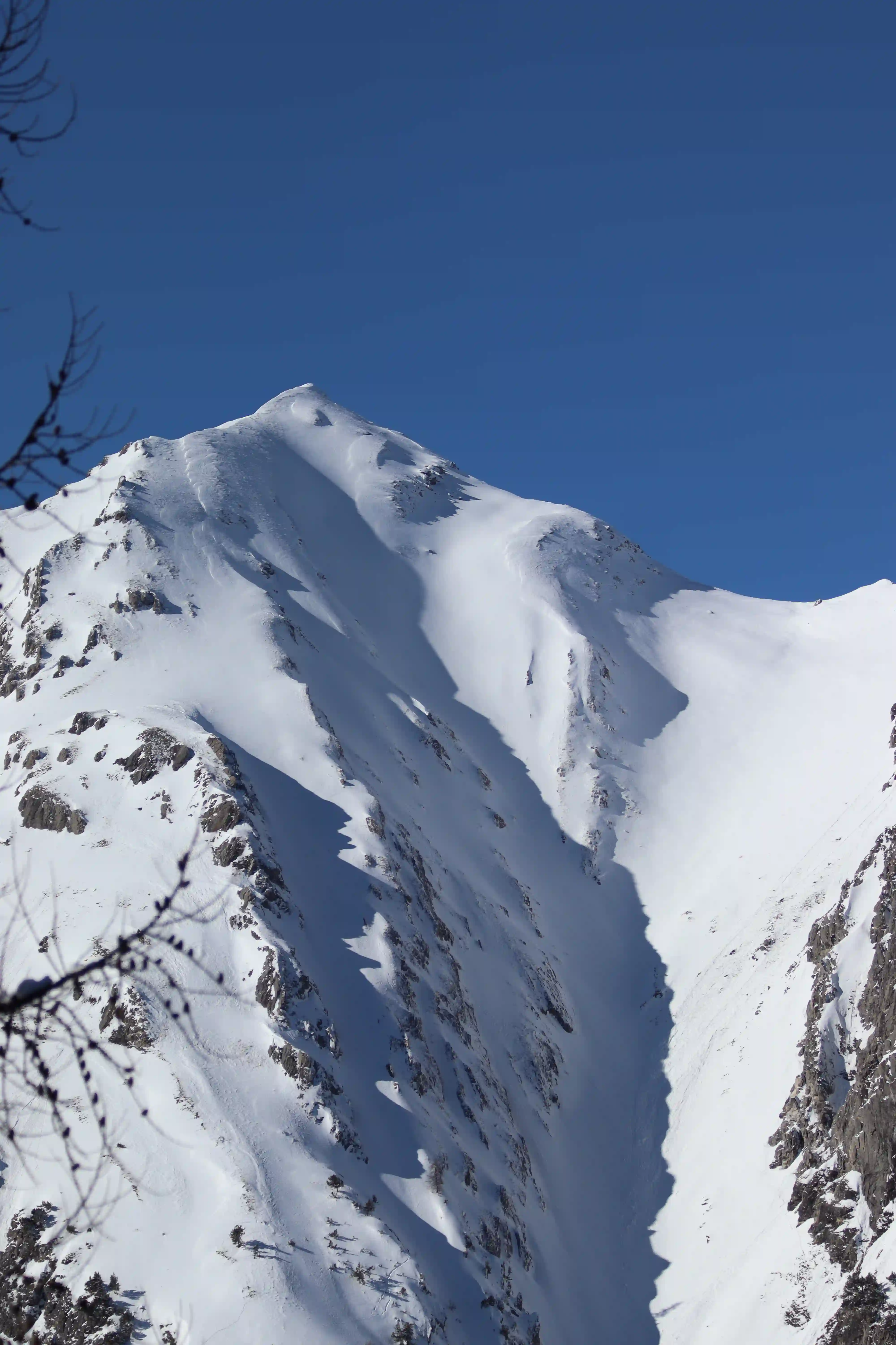 Ski — 4