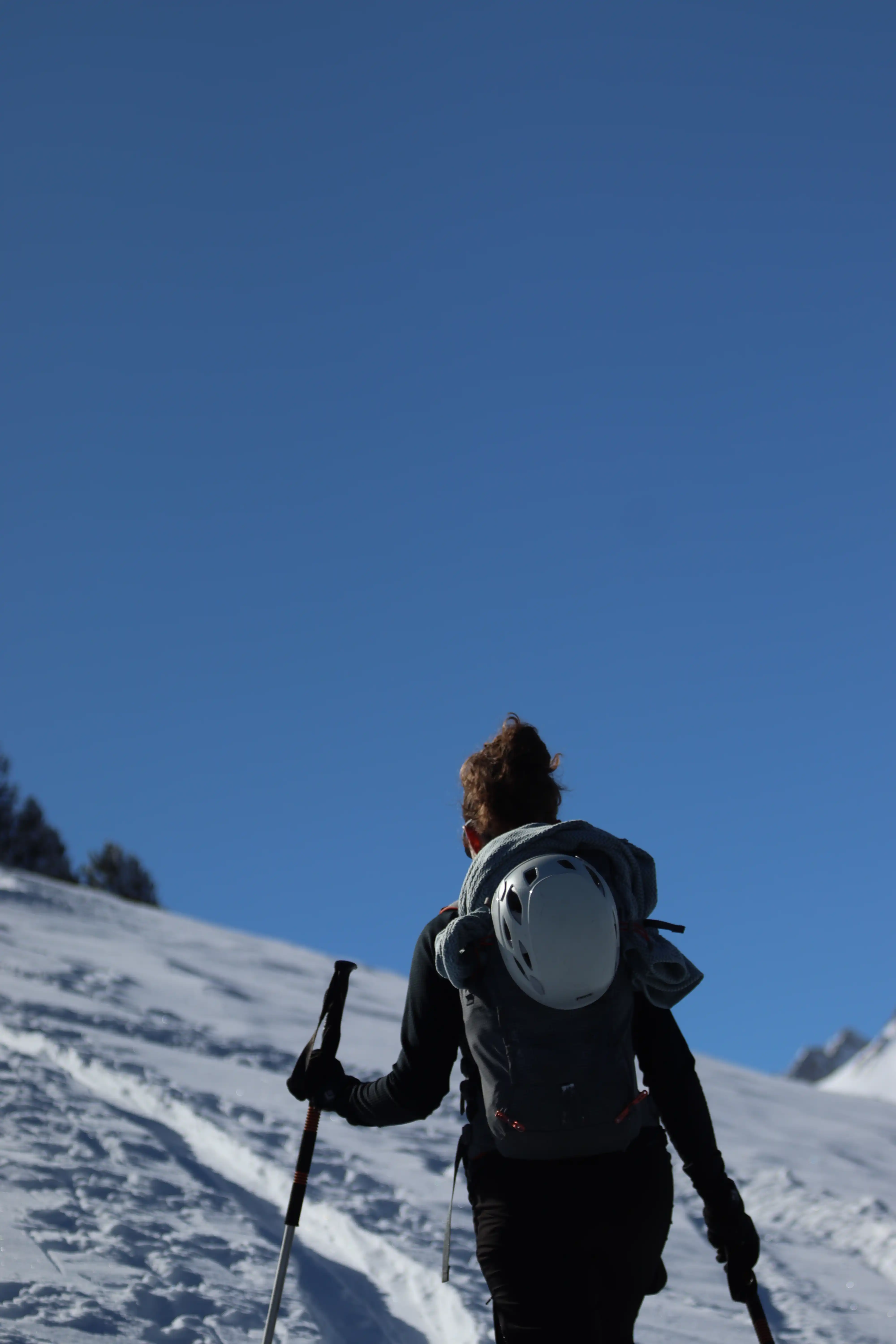 Ski — 8