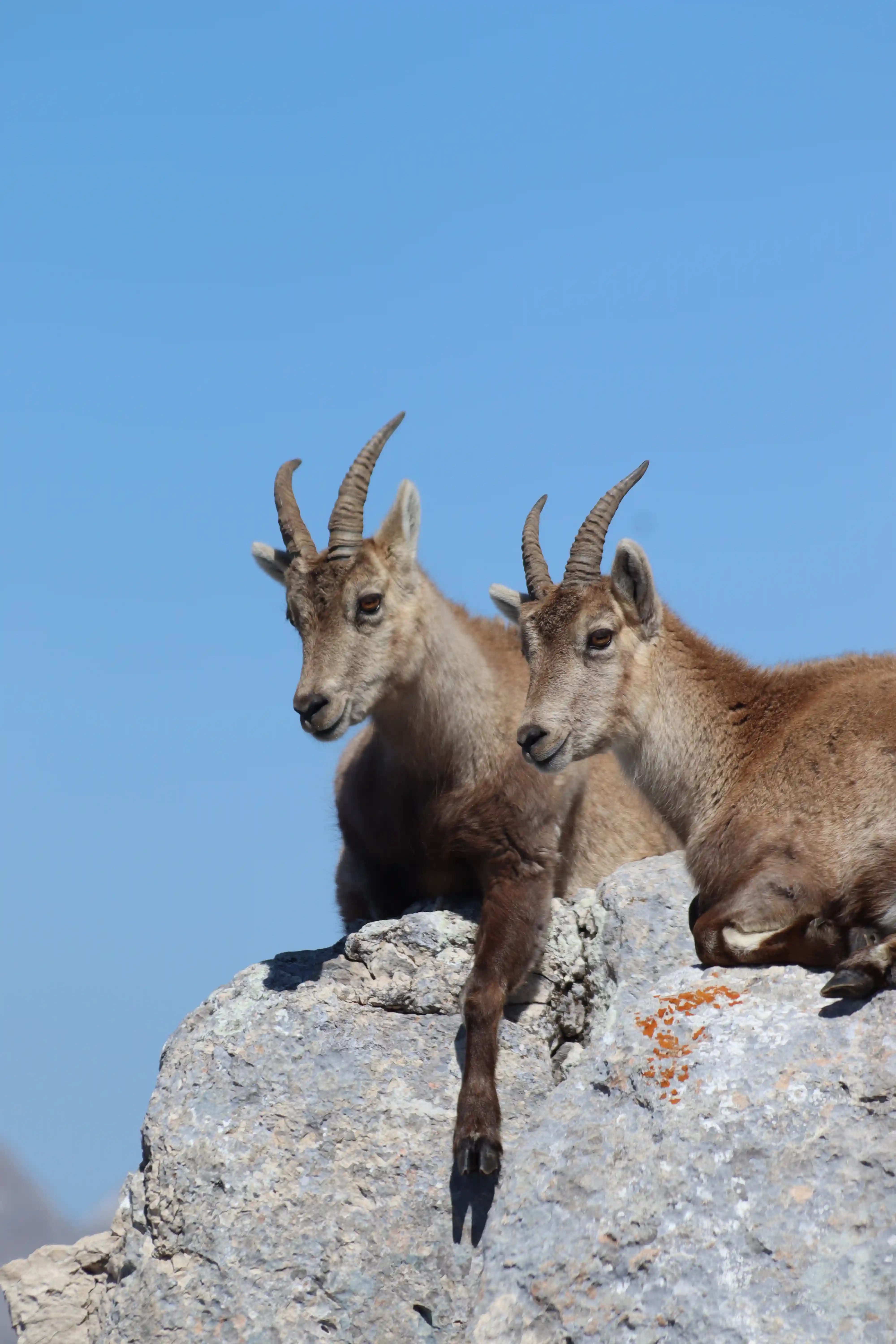 Mont Aiguille — 10