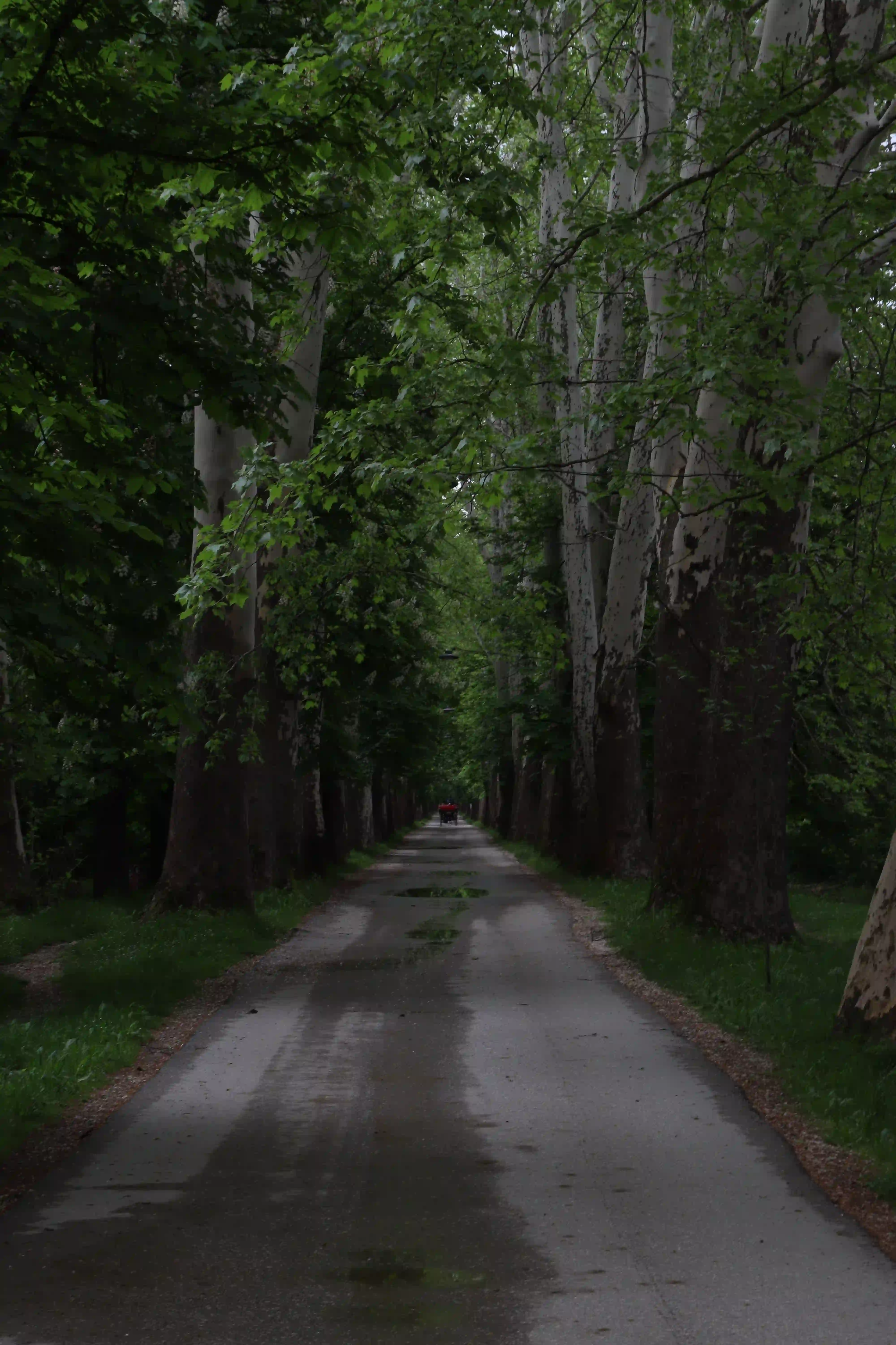 Balkans — 32
